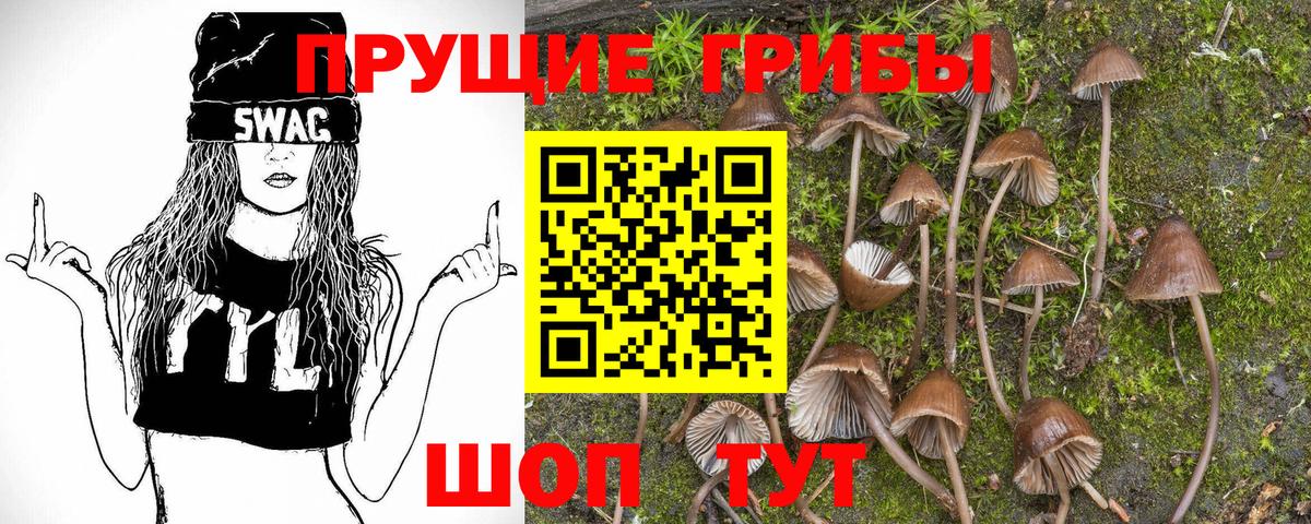 Псилоцибиновые грибы Psilocybine cubensis  Галлюциногенные грибы Psilocybine cubensis  Губкин  Вход с VPN 