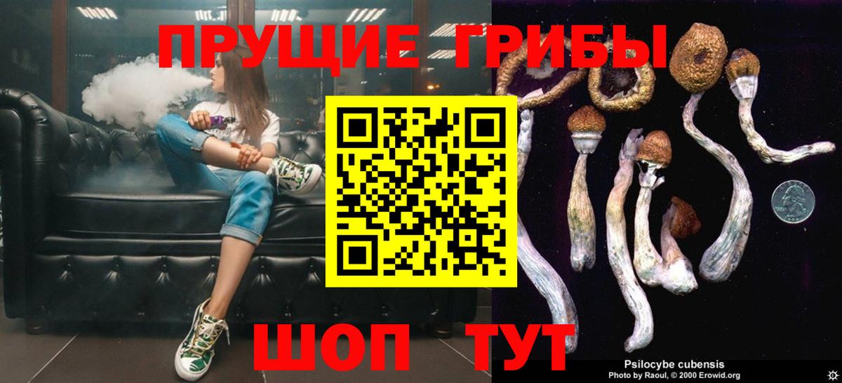 Псилоцибиновые грибы мухоморы Губкин